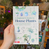 A Beginner’s Guide to House Plants