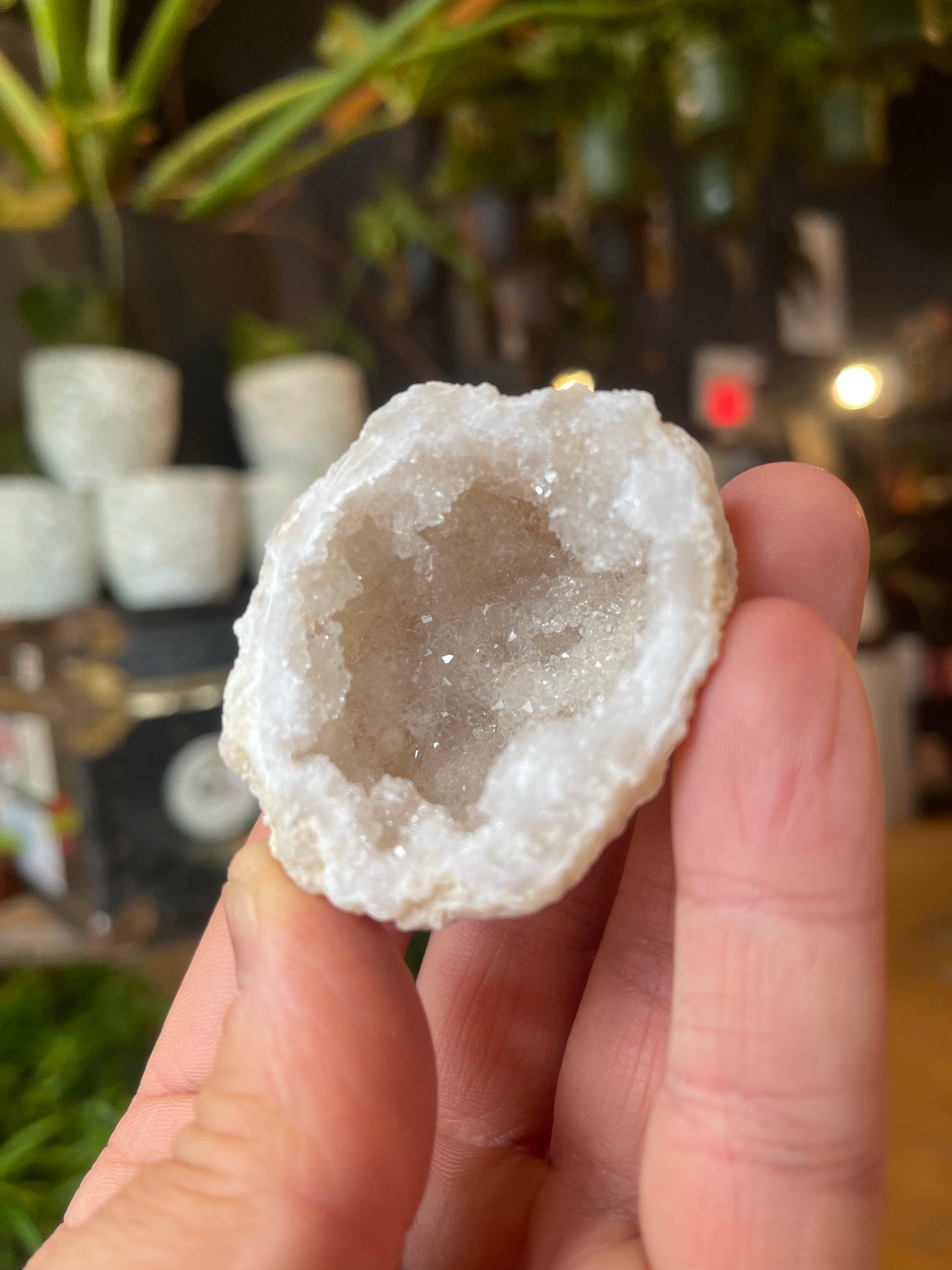 Assorted Agate Geodes