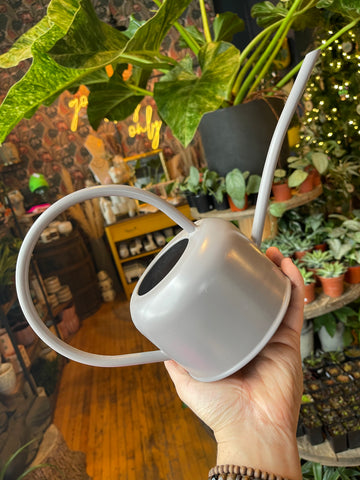 Stone Grey Watering Can