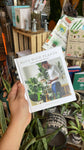Boys with Plants Book
