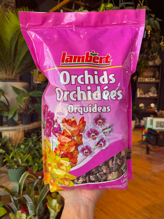Orchid Bark