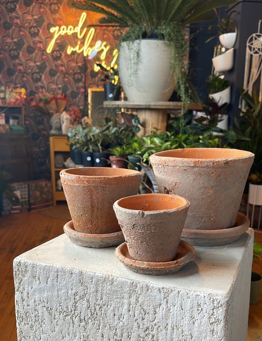Cactus Aged Clay - Redstone