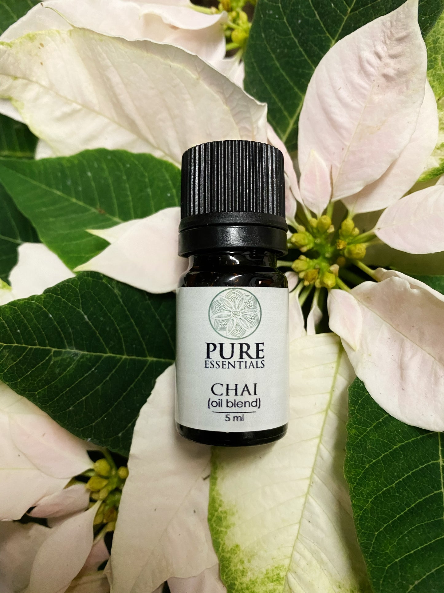 Pure Essentials - Chai Oil