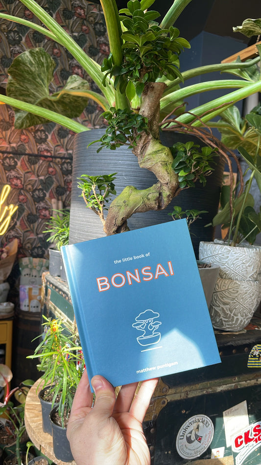 The Little Book of Bonsai