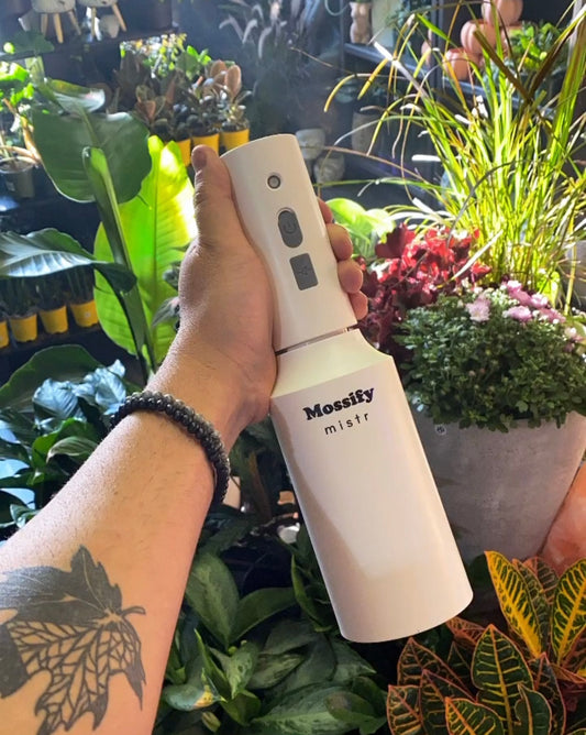 Mossify Automatic Mistr