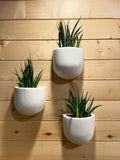 Lightweight Ceramic Wall Planters